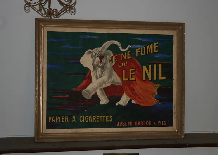 Hotel Castlepollard Szálloda