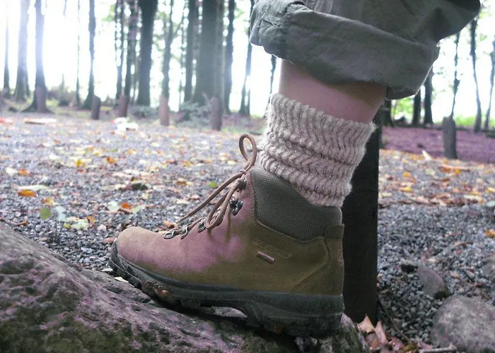 Hotel Castlepollard Szálloda 3*